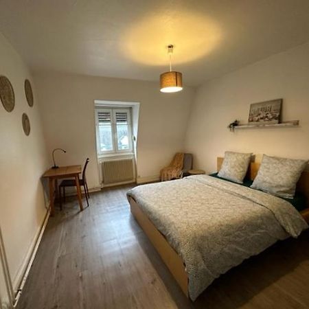 Beau F3 - Proche Gare Apartment Mulhouse Exterior photo